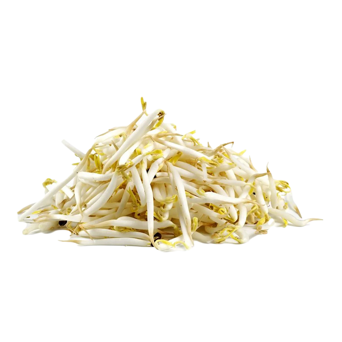 Grocerz - Bean Shoots Pre-Pack | 250g